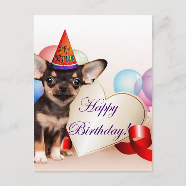 Postal Perro de la chihuahua del cumpleaños (Anverso)