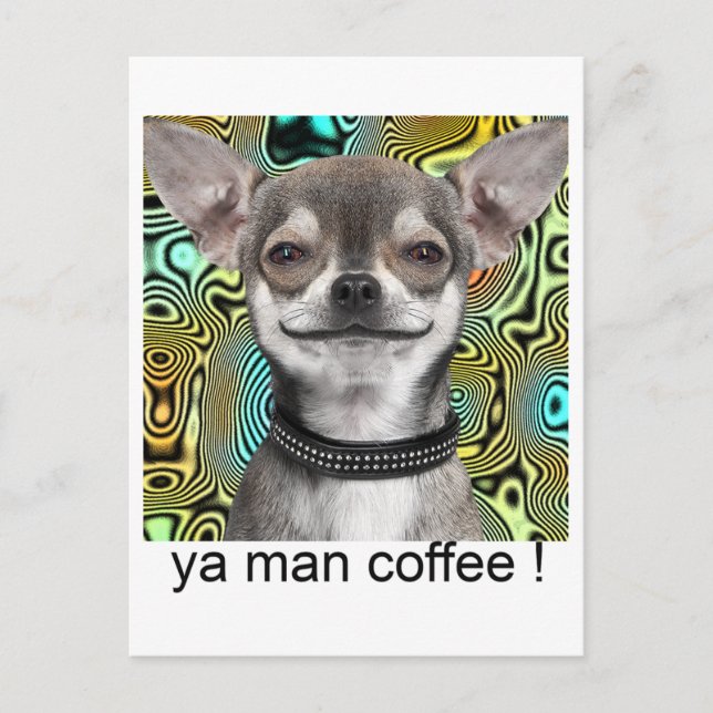 Postal Perro de la chihuahua que sonríe para el café (Anverso)