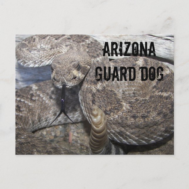 Postal Perro de la Guardia de Arizona (Anverso)