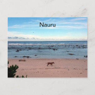 Postal perro de la playa de nauru