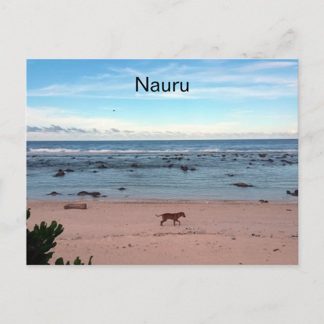 Postal perro de la playa de nauru (Anverso)
