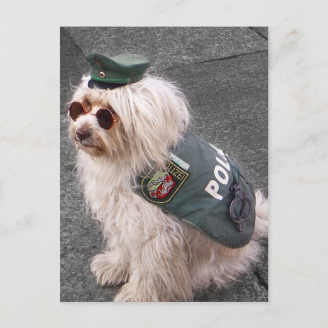 Postal Perro de la policía alemana con esposas (Anverso)