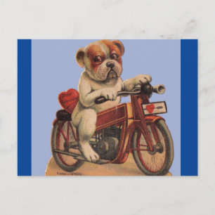 Postal Perro de la vieja cosecha en moto San Valentín