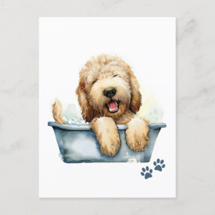Postal Perro de Labradoodle