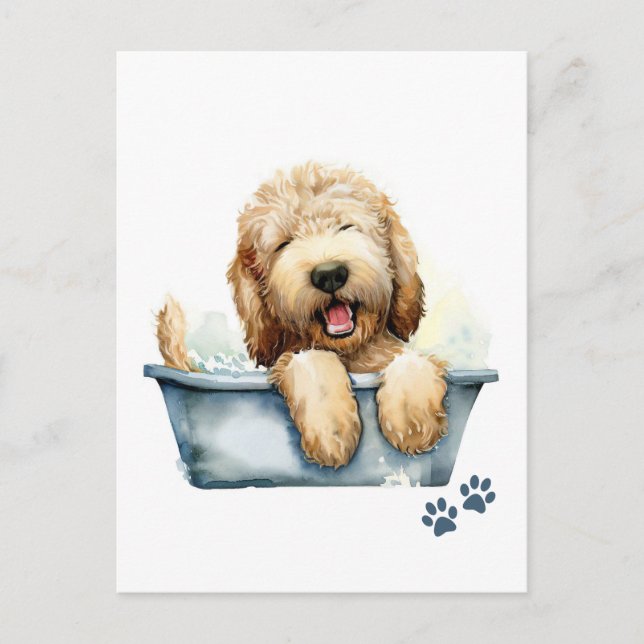 Postal Perro de Labradoodle (Anverso)