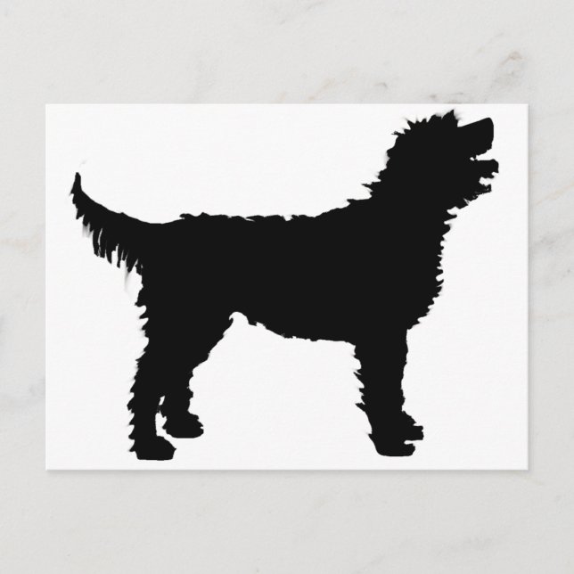 Postal Perro de Labradoodle (en negro) (Anverso)