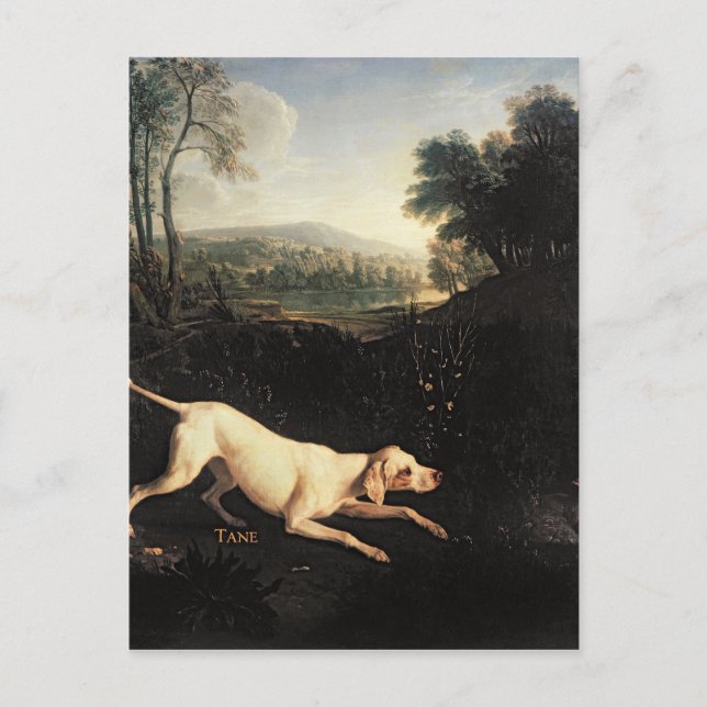 Postal Perro de Luis XIV, Tane (Anverso)
