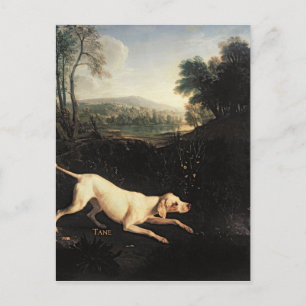 Postal Perro de Luis XIV, Tane