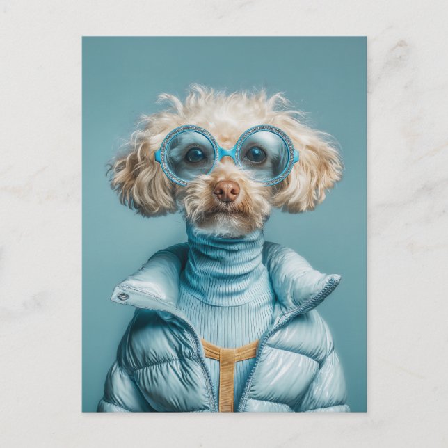Postal Perro de Moda con Ropa Azul (Anverso)