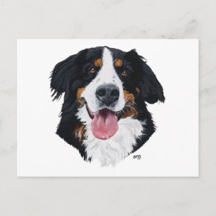 Postal Perro de montaña bernés