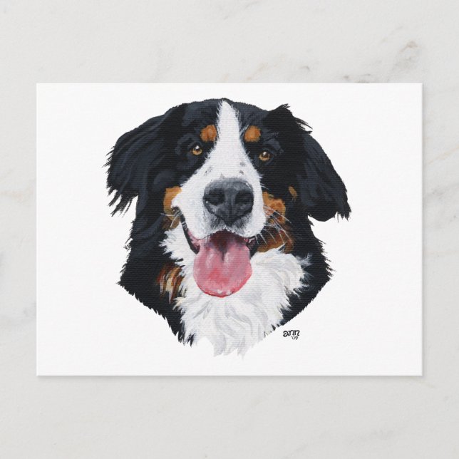 Postal Perro de montaña bernés (Anverso)