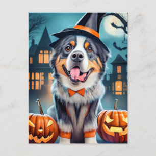 Postal Perro de montaña bernés de Halloween