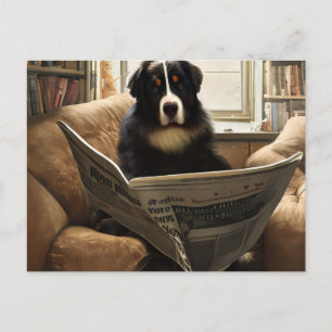 Postal Perro de montaña Bernés leyendo el periódico