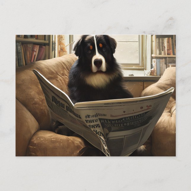 Postal Perro de montaña Bernés leyendo el periódico (Anverso)
