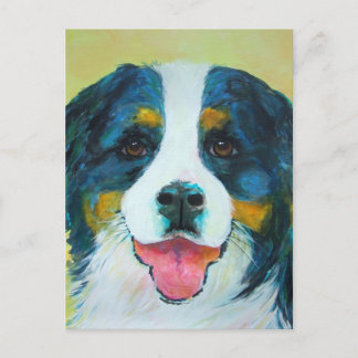 Postal Perro de montaña de Bernese