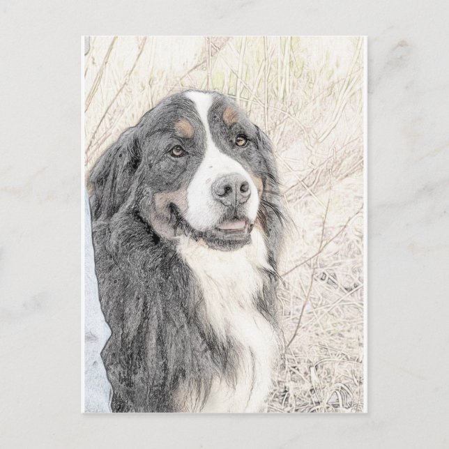 Postal Perro de montaña de Bernese (Anverso)