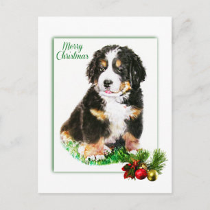 Postal Perro de montaña de Bernese