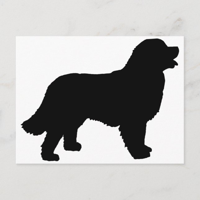 Postal Perro de montaña de Bernese (silueta negra) (Anverso)