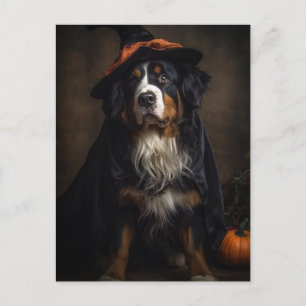 Postal Perro de montaña de Halloween Adorable Witch Berne