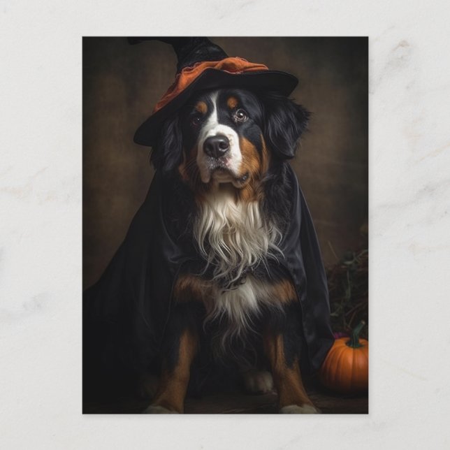 Postal Perro de montaña de Halloween Adorable Witch Berne (Anverso)