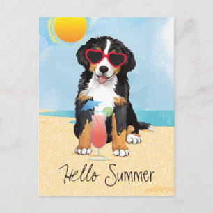 Postal Perro de montaña de verano de Bernese