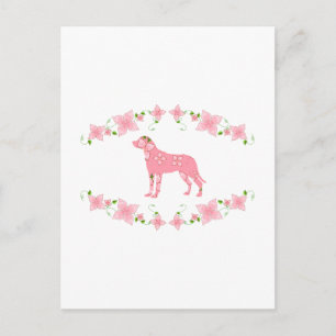 Postal Perro de montaña suizo mayor