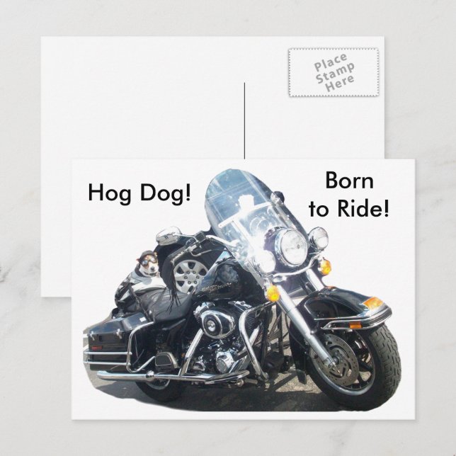 Postal Perro de moto Hog Dog Nacido para montar Russell T (Anverso / Reverso)