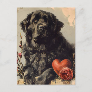 Postal Perro de Newfoundland El día de San Valentín Vinta