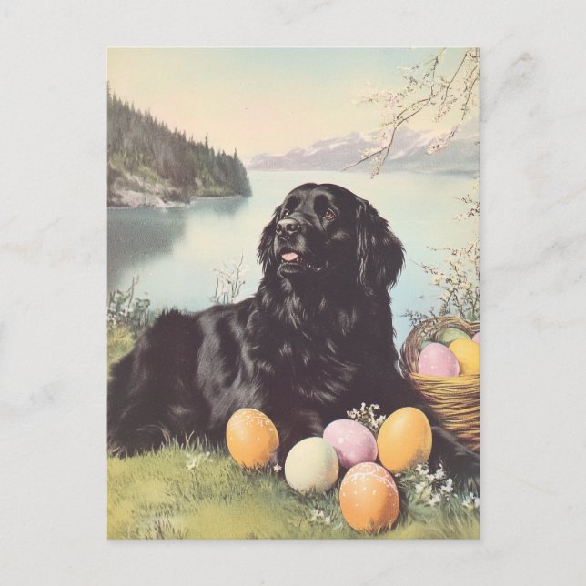 Postal Perro de Newfoundland Vintage Easter (Anverso)