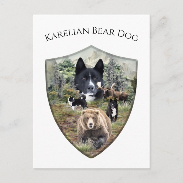 Postal Perro de oso de Karelian (Anverso)