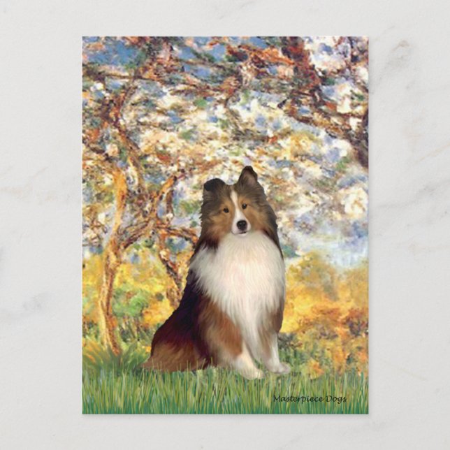 Postal Perro de pastor de Shetland 1 - Primavera (Anverso)