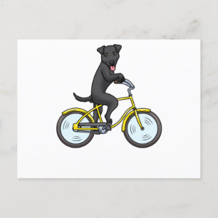 Postal Perro de Patterdale Terrier