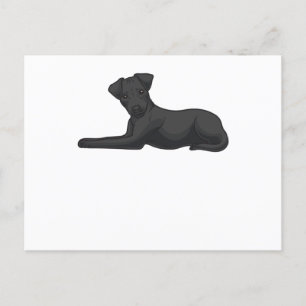 Postal Perro de Patterdale Terrier