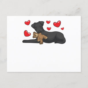 Postal Perro de Patterdale Terrier con animal relleno