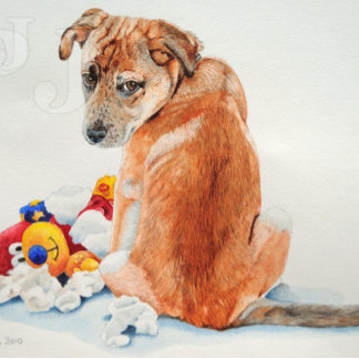 Postal perro de raza mixta con cachorro adorable