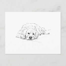 Postal Perro de raza Retriever dorado durmiendo, Amante d