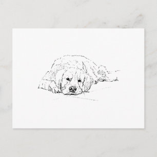 Postal Perro de raza Retriever dorado durmiendo, Amante d