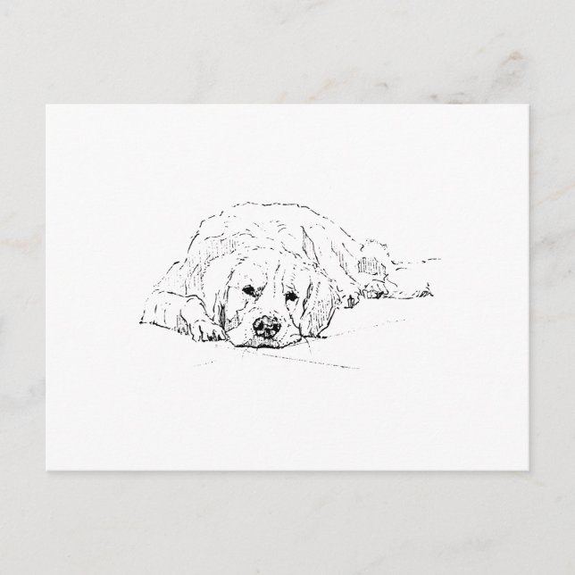 Postal Perro de raza Retriever dorado durmiendo, Amante d (Anverso)