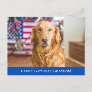 Postal Perro de recuperación de oro