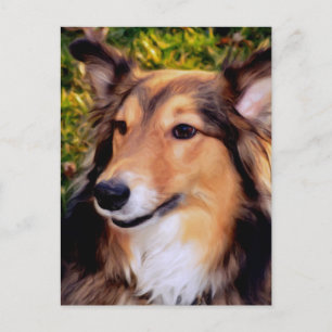 Postal Perro de rescate