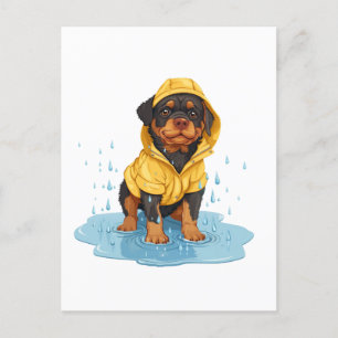 Postal Perro de Rottweiler Cuto Con Lavana De Lluvia