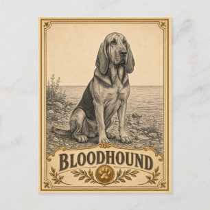 Postal Perro de San Huberto, perro vintage de herencia