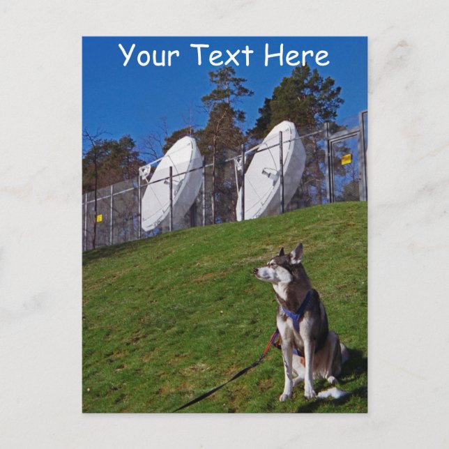 Postal Perro de seguimiento personalizado (Anverso)
