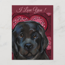 Postal Perro de Terranova