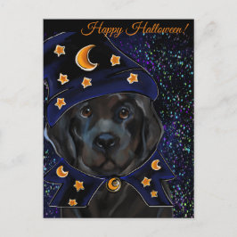 Postal Perro de Terranova