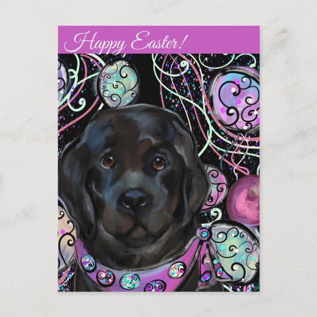 Postal Perro de Terranova (Anverso)