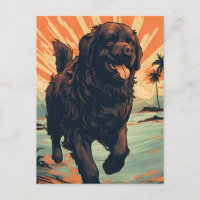 Perro de Terranova en la playa