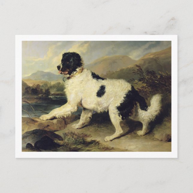 Postal Perro de Terranova llamado León, 1824 (aceite en l (Anverso)