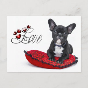 Postal Perro de toro francés - francés - amor