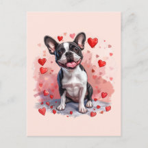 Perro del día de San Valentín Boston Terrier